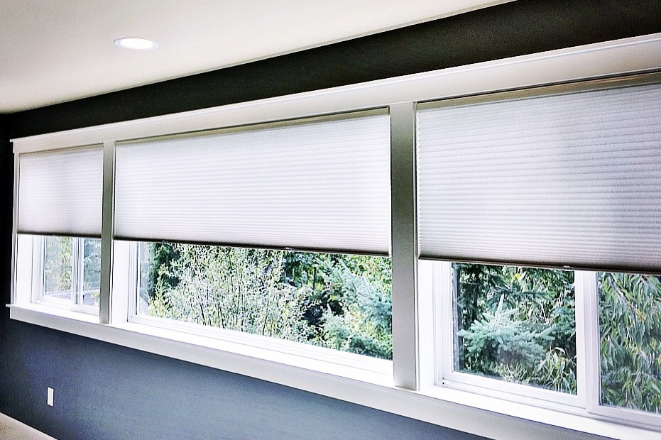 Top-down cellular shades on a wall of windows looking out at a Pacific Northwest forest